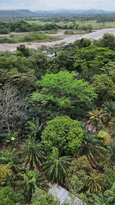 Vista aérea del río